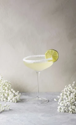 Eva Solo Vinglas^Champagne Coupe champagneglas - 20 cl - 1 stk.