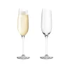 Eva Solo Vinglas^Champagneglas | Smukke glas fra her på siden