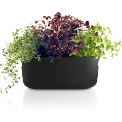 Eva Solo Selvvandende Potter^Herb organiser - Selvvandende - Sort