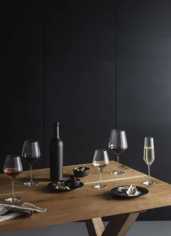 Eva Solo Vinglas^Legio Nova bourgogne vinglas - 65 cl - 6 stk.