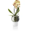 Eva Solo Selvvandende Potter^Orkidepotte - 15 cm - Glass