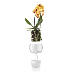 Eva Solo Selvvandende Potter^Orkidepotte - 15 cm - Glass