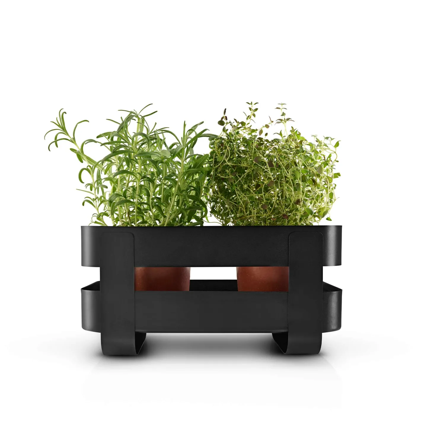 Eva Solo Selvvandende Potter^Selvvandende Herb organiser stål - Black