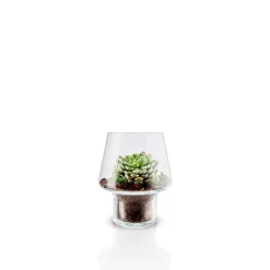Eva Solo Vaser & Lysestager^Sukkulent glasvase - Ø 15 cm